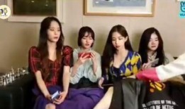 女团娱乐圈爆料视频,独家爆料视频深度解析