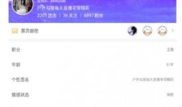 宁县事件爆料信息查询最新,揭秘背后真相与影响